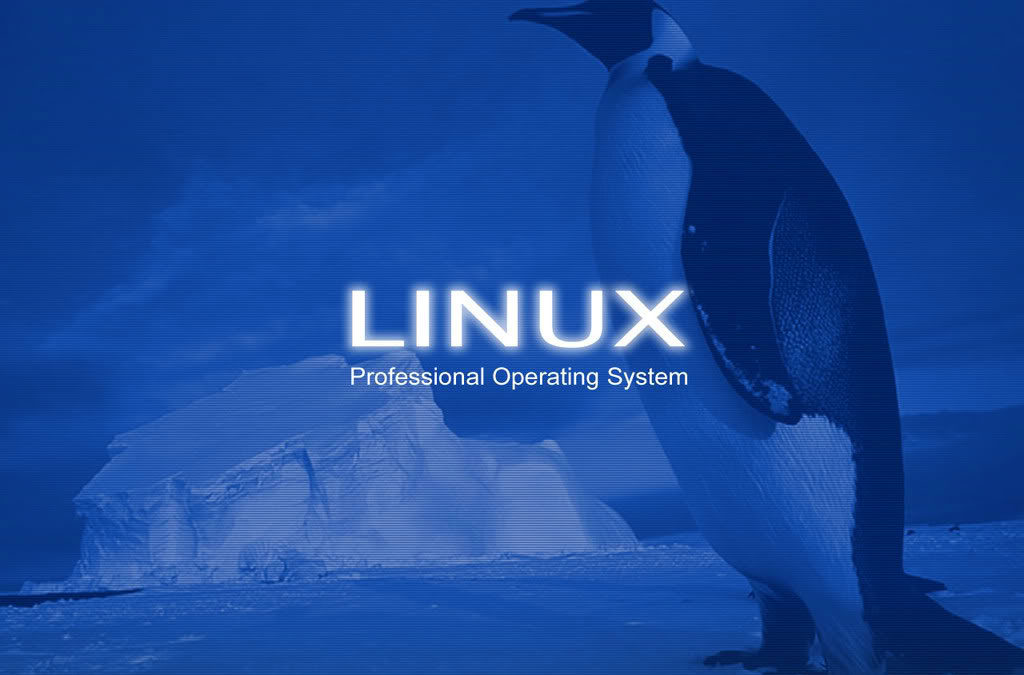Linux System Administrator