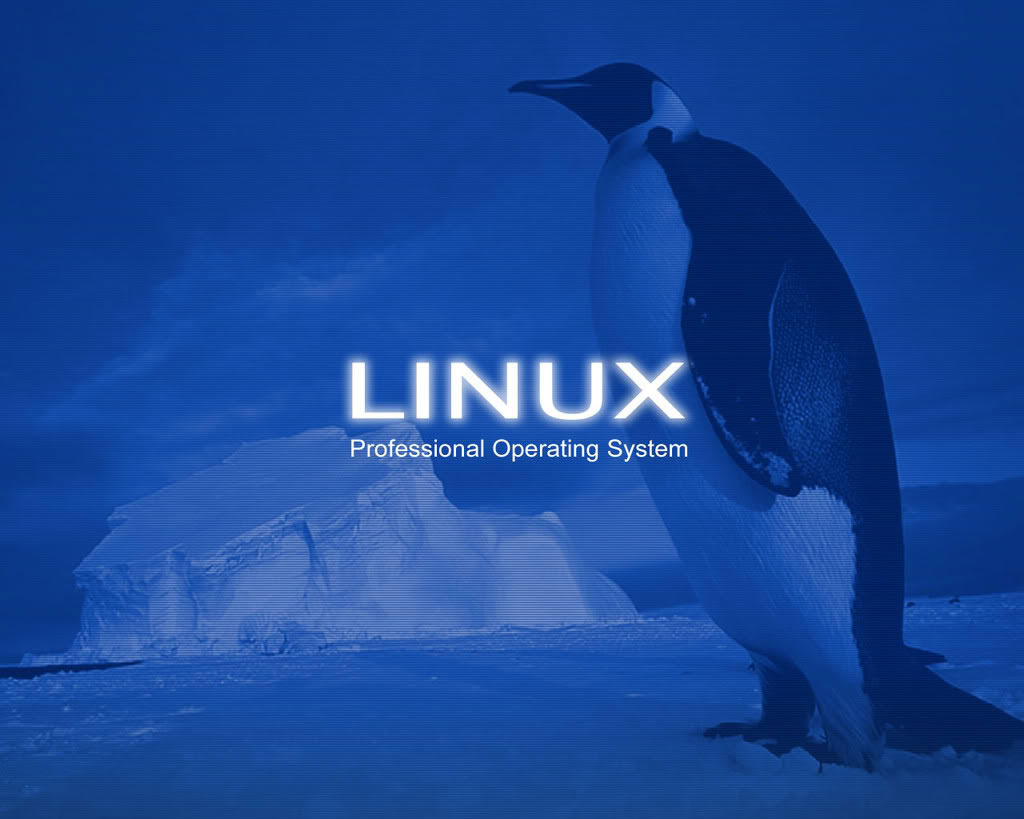 Linux System Administrator