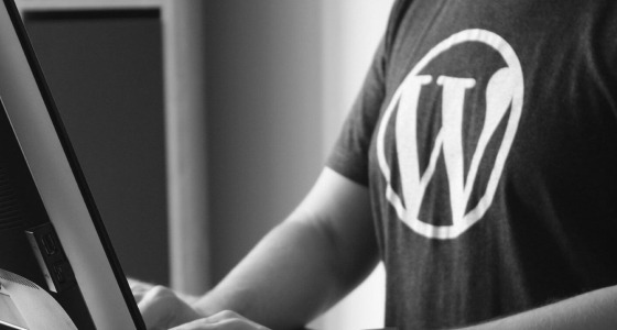 Websites Development Websites-Development-iBS